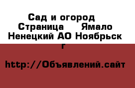  Сад и огород - Страница 2 . Ямало-Ненецкий АО,Ноябрьск г.